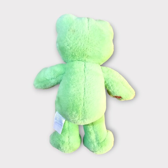 Build-a-Bear Spring Frog plush - Picture 2 of 4